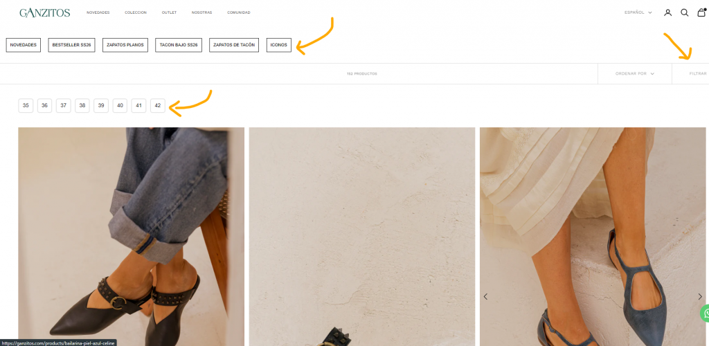 Pantallazo filtros página de categoría tienda online Ganzitos